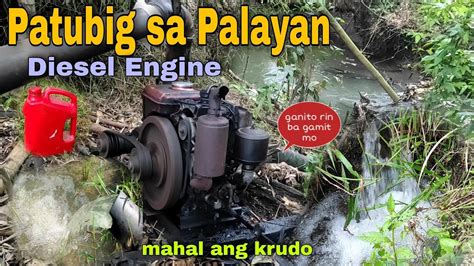 patubig sa palayan in english|palay in English .